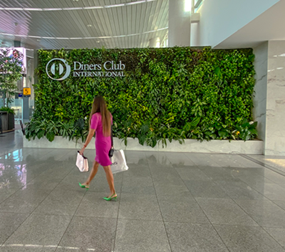 PUBLICIDAD DECORATIVA